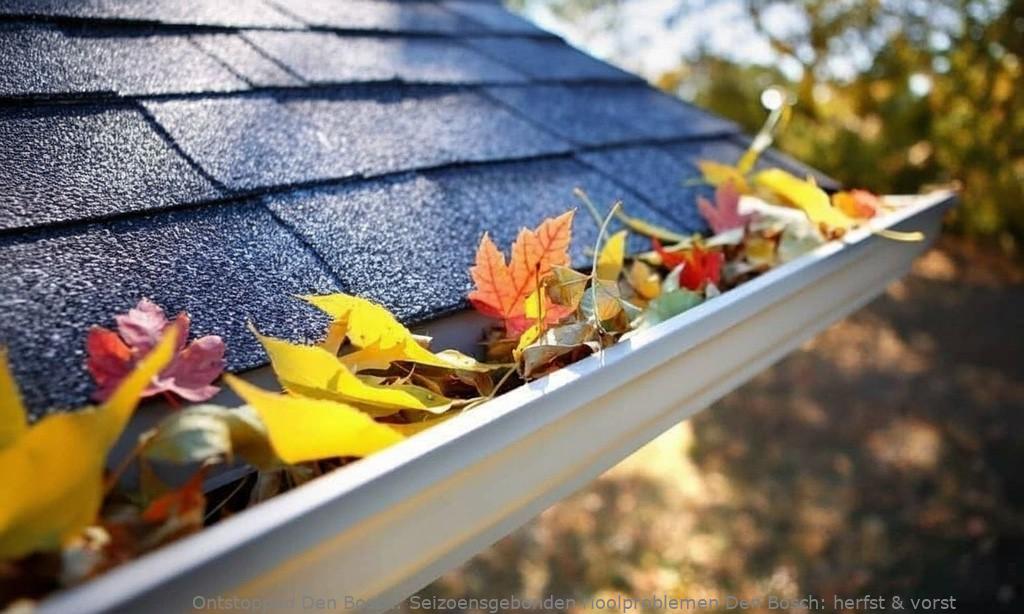 Seizoensgebonden rioolproblemen Den Bosch: herfst & vorst