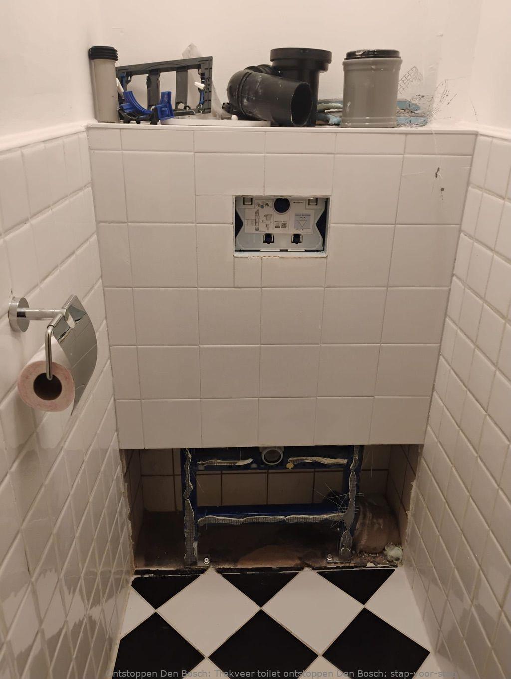 Trekveer toilet ontstoppen Den Bosch: stap-voor-stap
